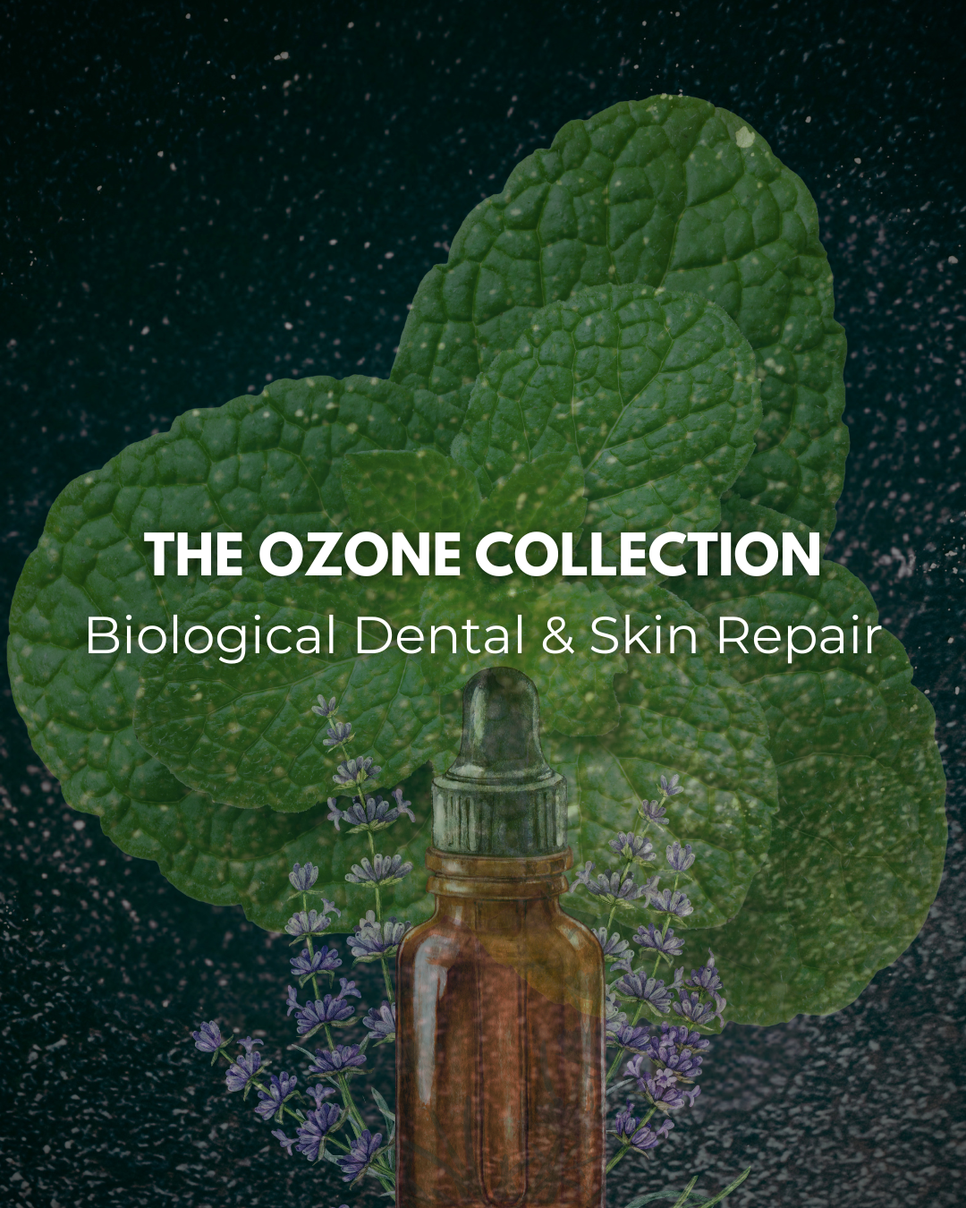 THE OZONE COLLECTION