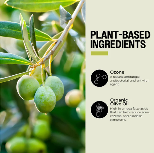 Green olives on a branch with plant-based ingredients text and images.